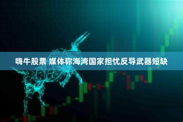嗨牛股票 媒体称海湾国家担忧反导武器短缺