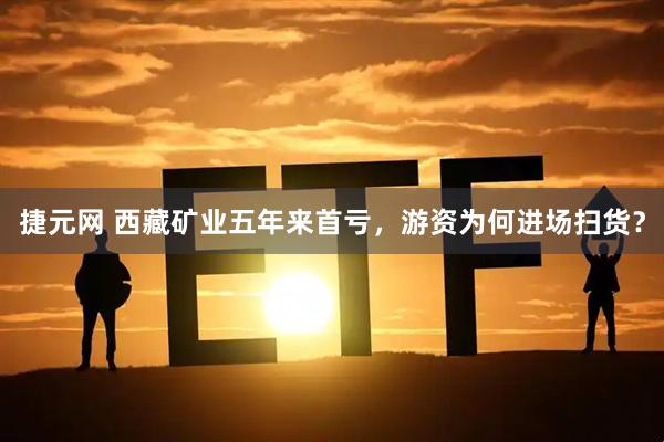 捷元网 西藏矿业五年来首亏，游资为何进场扫货？