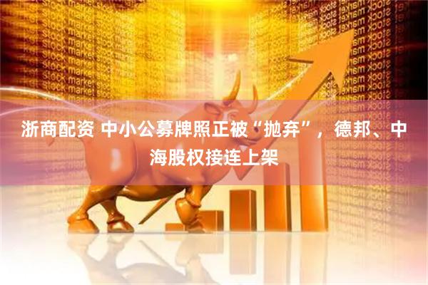 浙商配资 中小公募牌照正被“抛弃”，德邦、中海股权接连上架