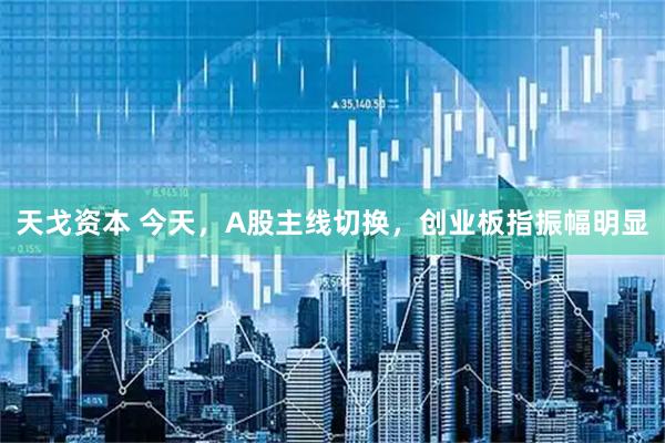 天戈资本 今天，A股主线切换，创业板指振幅明显