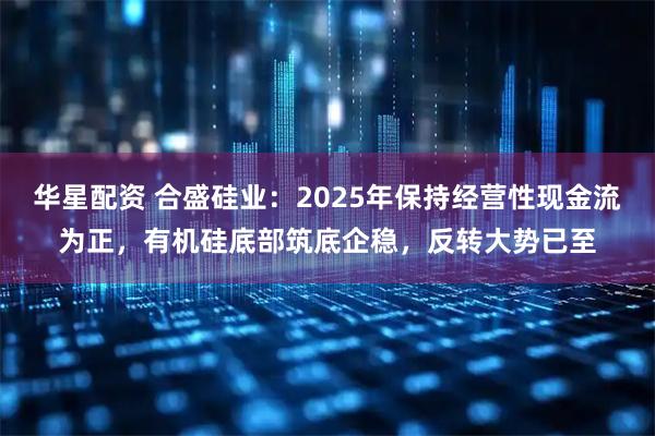 华星配资 合盛硅业：2025年保持经营性现金流为正，有机硅底部筑底企稳，反转大势已至